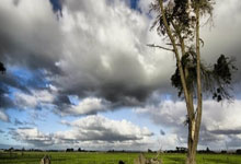 利物浦战平皇马，欧冠四强未定