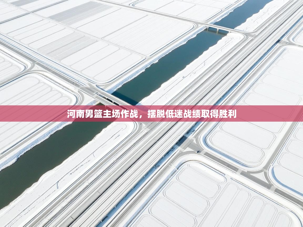 河南男篮主场作战,摆脱低迷战绩取得胜利 第1张