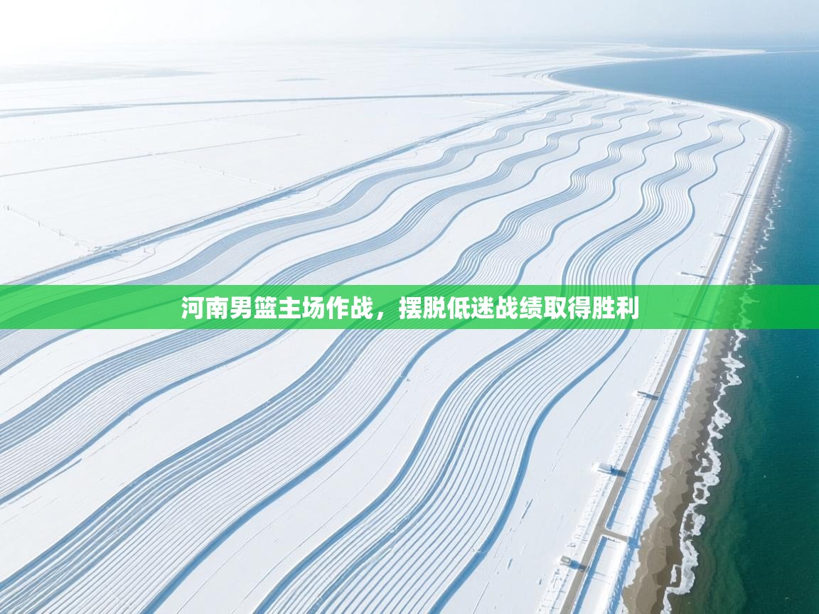 河南男篮主场作战,摆脱低迷战绩取得胜利 第2张