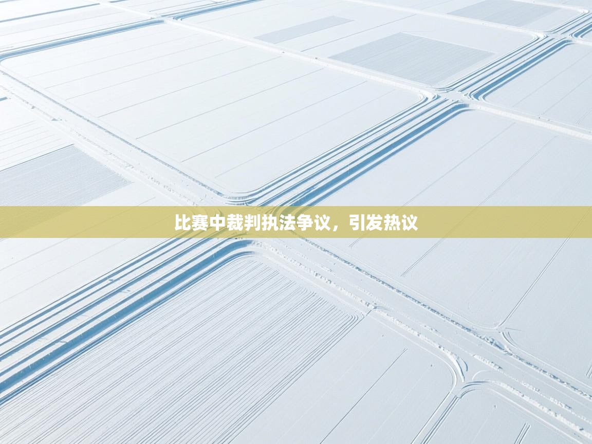 比赛中裁判执法争议，引发热议