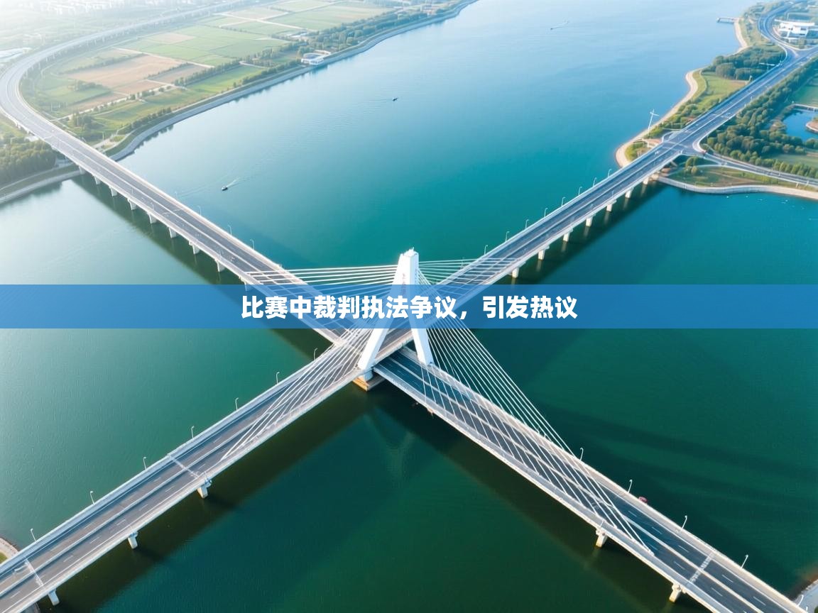 比赛中裁判执法争议，引发热议  第2张