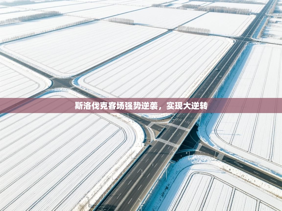 斯洛伐克客场强势逆袭,实现大逆转 第2张