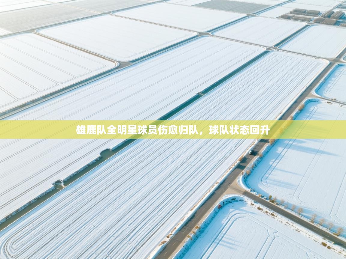 雄鹿队全明星球员伤愈归队,球队状态回升 第1张