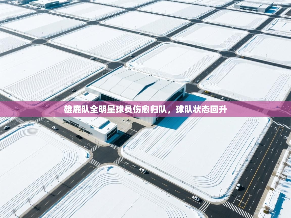 雄鹿队全明星球员伤愈归队,球队状态回升 第2张