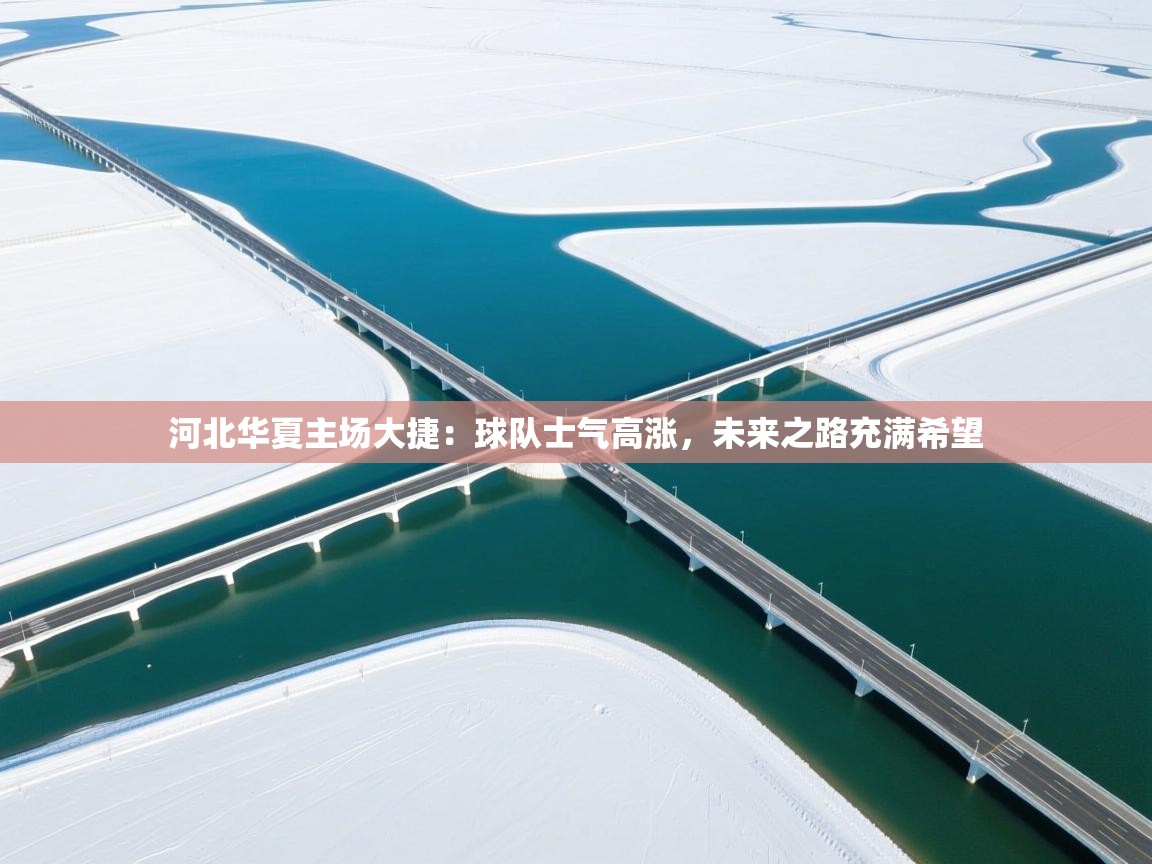 河北华夏主场大捷：球队士气高涨，未来之路充满希望  第1张