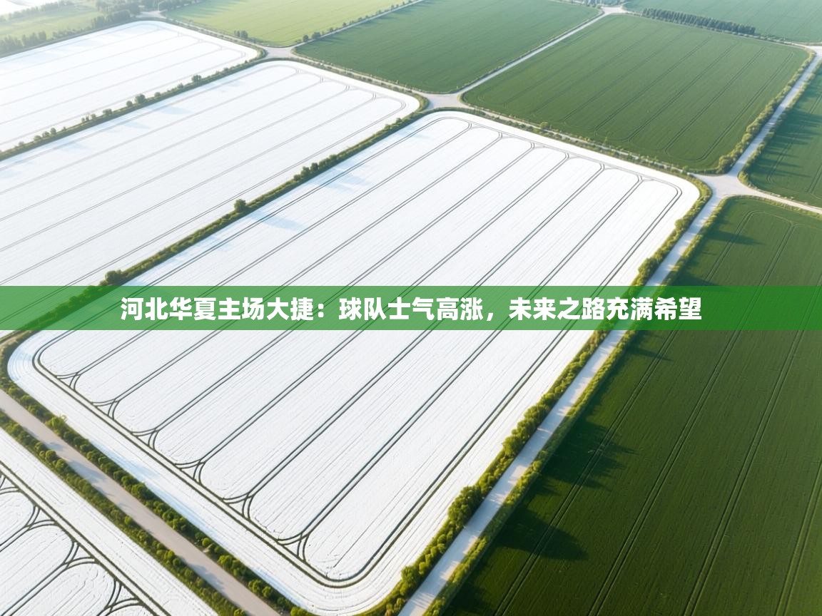河北华夏主场大捷：球队士气高涨，未来之路充满希望  第2张